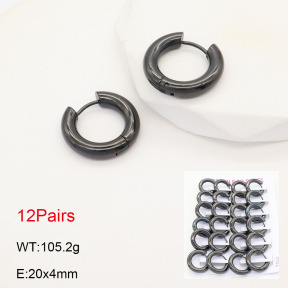 2E2005518akoa-387  Stainless Steel Earrings