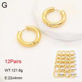 2E2005519akoa-387  Stainless Steel Earrings