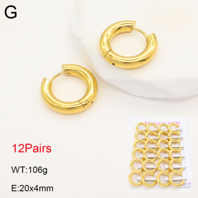 2E2005520akoa-387  Stainless Steel Earrings