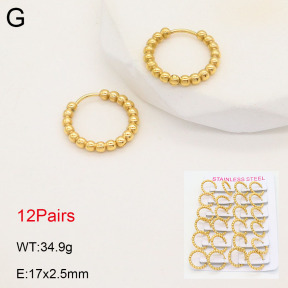 2E2005523amaa-387  Stainless Steel Earrings