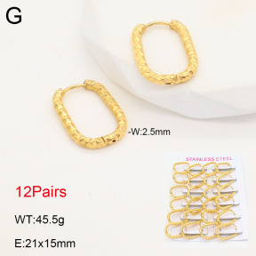 2E2005524alka-387  Stainless Steel Earrings