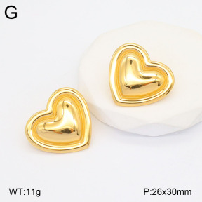 2E2005526vbmb-436  Stainless Steel Earrings