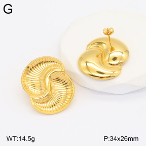 2E2005527vbmb-436  Stainless Steel Earrings