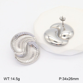 2E2005528ablb-436  Stainless Steel Earrings