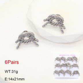 2E2005529vhov-436  Stainless Steel Earrings