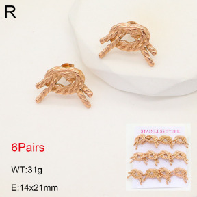 2E2005531aija-436  Stainless Steel Earrings