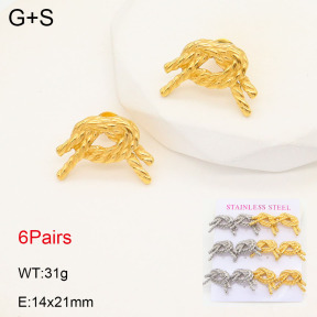 2E2005532vhpl-436  Stainless Steel Earrings