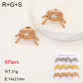 2E2005533vihb-436  Stainless Steel Earrings