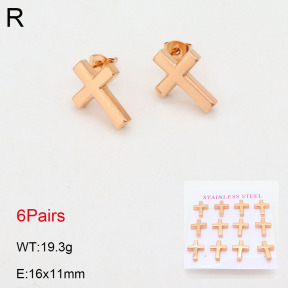 2E2005536aija-436  Stainless Steel Earrings