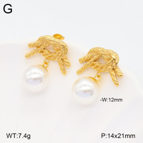2E3003175vbmb-436  Stainless Steel Earrings