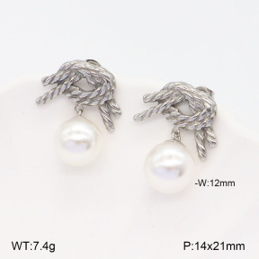 2E3003176ablb-436  Stainless Steel Earrings