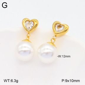 2E3003177vbmb-436  Stainless Steel Earrings