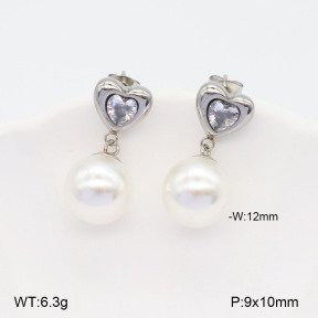 2E3003178ablb-436  Stainless Steel Earrings
