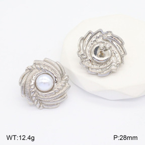 2E3003179vbll-436  Stainless Steel Earrings