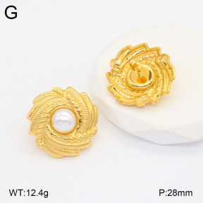 2E3003180bbml-436  Stainless Steel Earrings