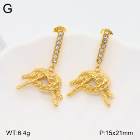 2E4004154vbpb-436  Stainless Steel Earrings