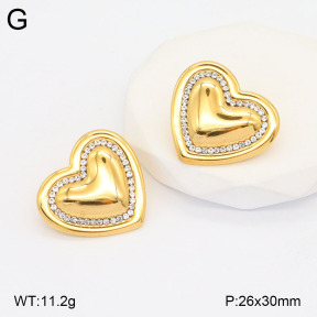 2E4004157bhva-436  Stainless Steel Earrings