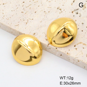 6E2006893vail-615  Stainless Steel Earrings