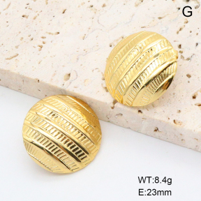 6E2006894vail-615  Stainless Steel Earrings