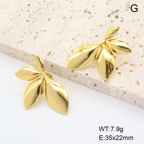 6E2006895vail-615  Stainless Steel Earrings