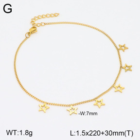 2A9001529aajl-413  Stainless Steel Anklets