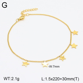 2A9001532aajl-413  Stainless Steel Anklets