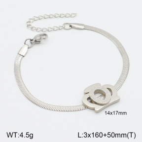2B2003670avja-413  Stainless Steel Bracelet