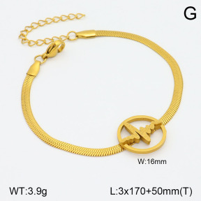 2B2003674vajj-413  Stainless Steel Bracelet