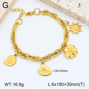 2B2003686ahlv-657  Stainless Steel Bracelet