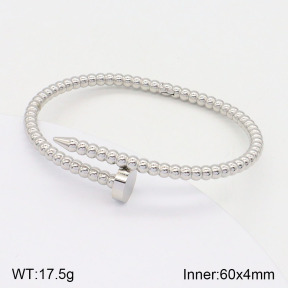2BA201787vbnl-328  Stainless Steel Bangle