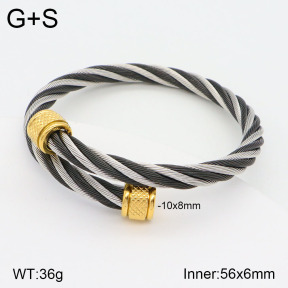 2BA201789bbov-387  Stainless Steel Bangle