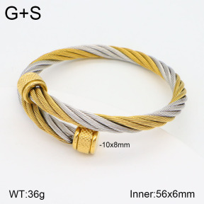 2BA201790abol-387  Stainless Steel Bangle