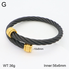 2BA201791vbnl-387  Stainless Steel Bangle