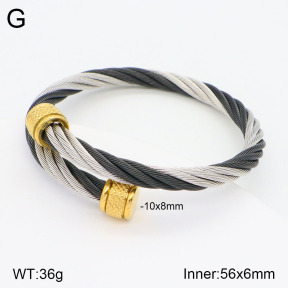 2BA201792bbov-387  Stainless Steel Bangle