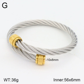 2BA201793vbmb-387  Stainless Steel Bangle