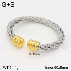 2BA201795vbnl-387  Stainless Steel Bangle