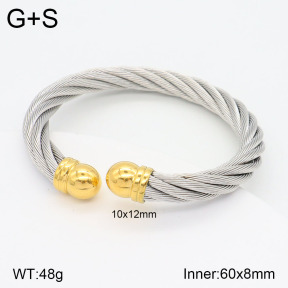 2BA201796vbnb-387  Stainless Steel Bangle