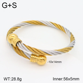 2BA201797abol-387  Stainless Steel Bangle