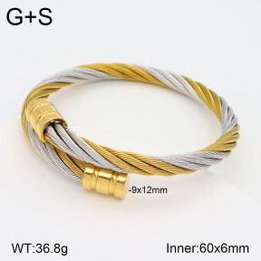 2BA201798abol-387  Stainless Steel Bangle