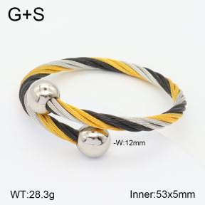 2BA201800vhmv-722  Stainless Steel Bangle