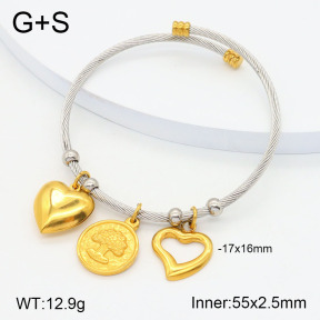 2BA201807ahlv-722  Stainless Steel Bangle