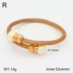 2BA300448ahlv-722  Stainless Steel Bangle