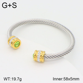 2BA402074vbnl-387  Stainless Steel Bangle