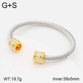 2BA402075vbnl-387  Stainless Steel Bangle