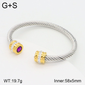 2BA402076vbnl-387  Stainless Steel Bangle