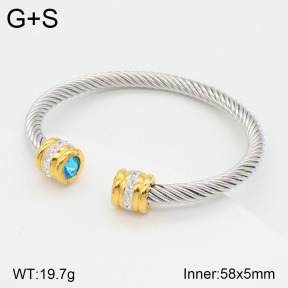 2BA402078vbnl-387  Stainless Steel Bangle