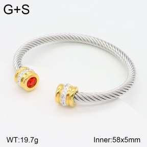 2BA402079vbnl-387  Stainless Steel Bangle