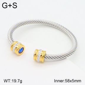 2BA402080vbnl-387  Stainless Steel Bangle