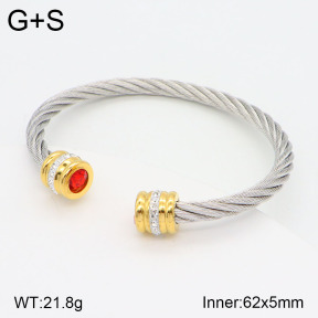 2BA402084vbnl-387  Stainless Steel Bangle