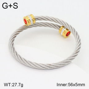 2BA402086vbnl-387  Stainless Steel Bangle
